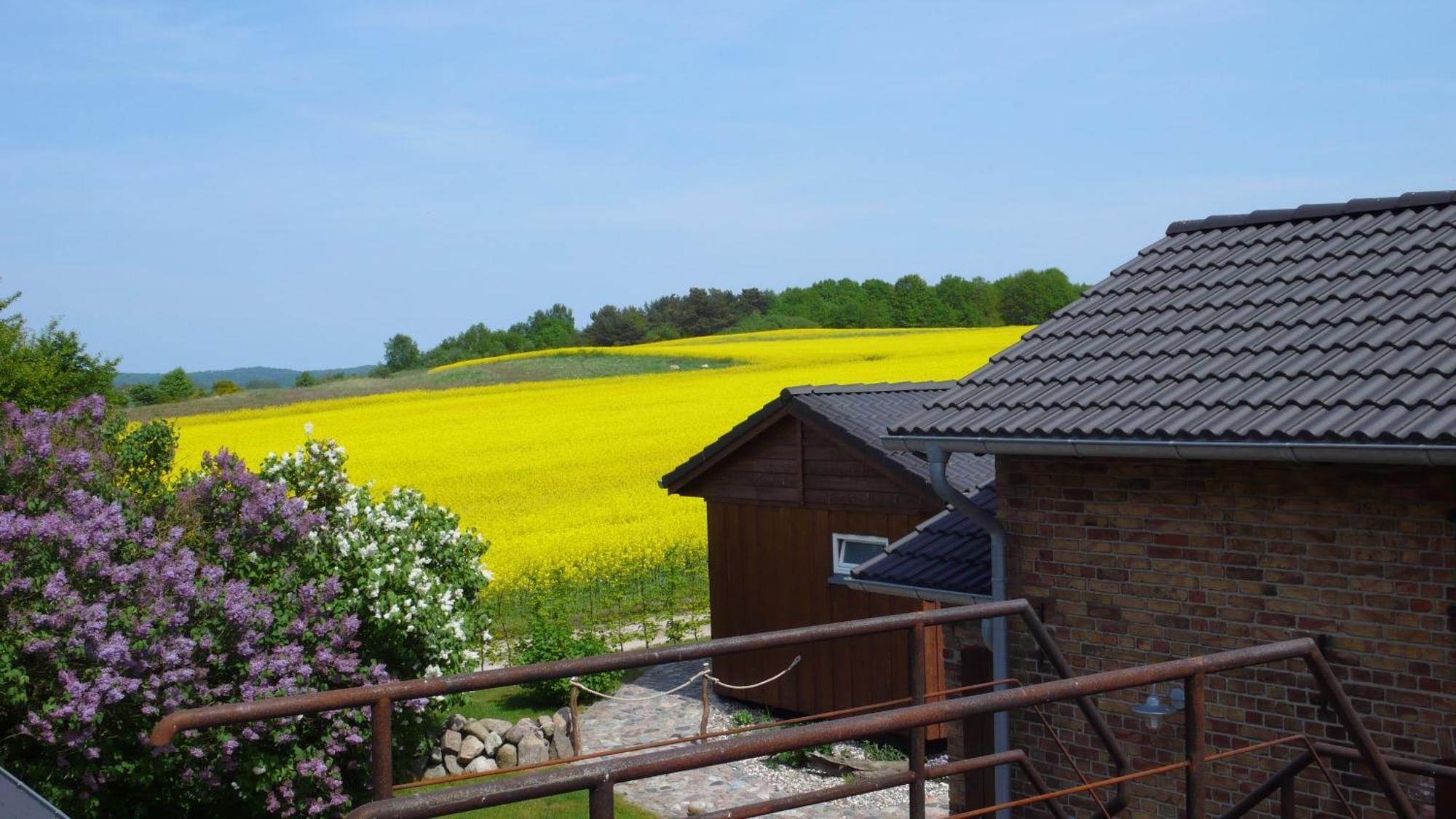 Vogelhaus Gobbin Apartamento Lancken-Granitz Exterior foto