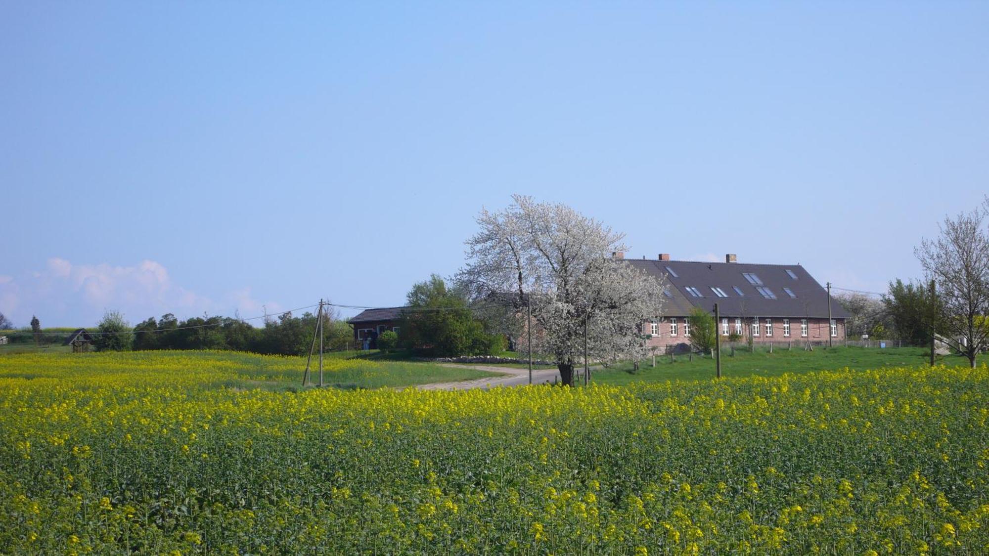 Vogelhaus Gobbin Apartamento Lancken-Granitz Exterior foto
